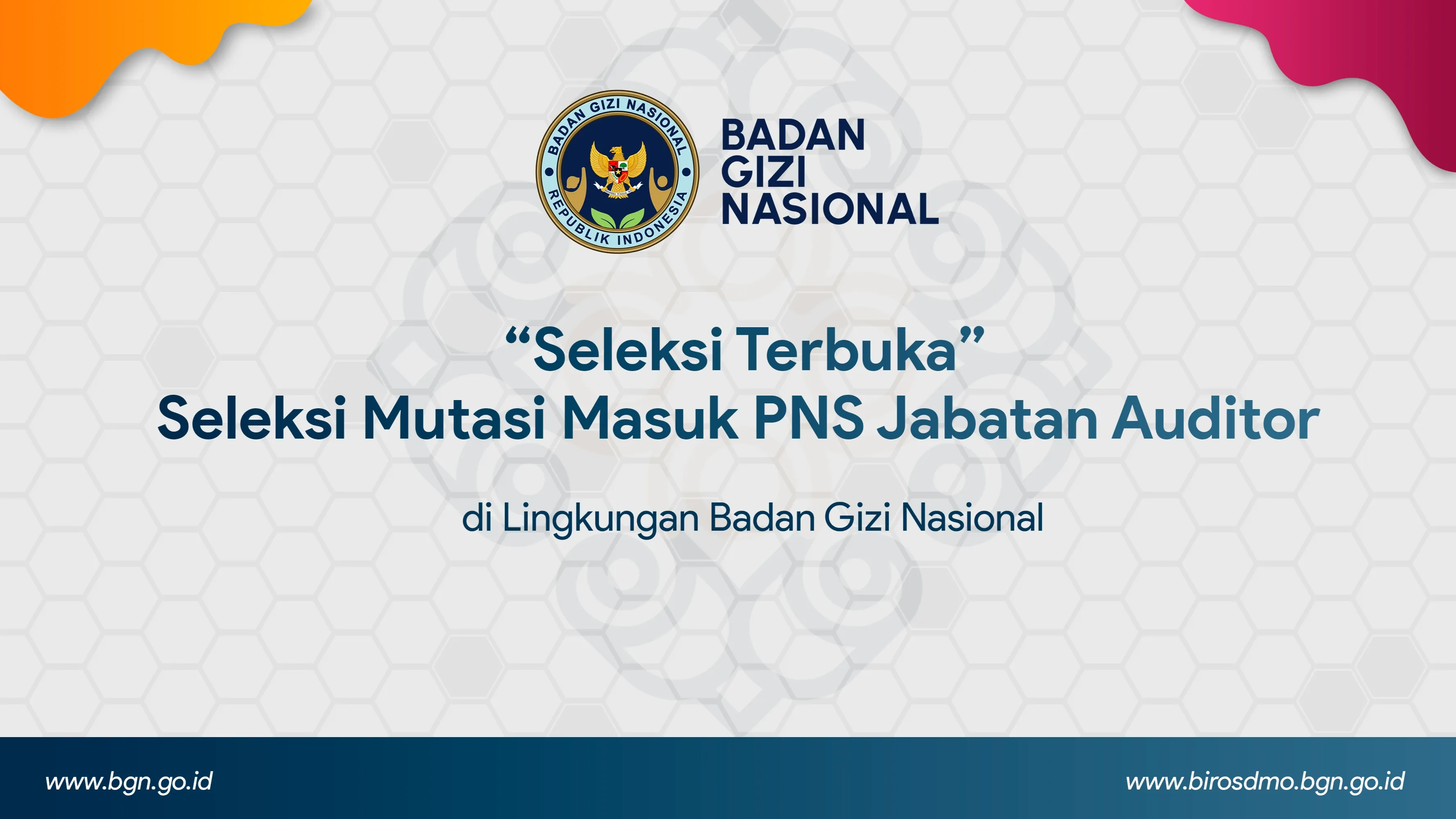 Seleksi Terbuka - Seleksi Mutasi Masuk PNS Jabatan Auditor di Lingkungan Badan Gizi Nasional Kabupaten Natuna